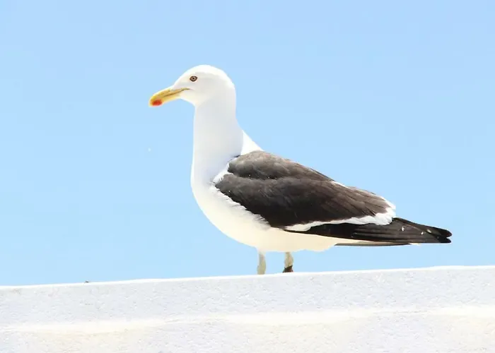 Casa Do Mar -sea House Nazare